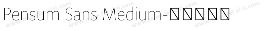 Pensum Sans Medium字体转换
